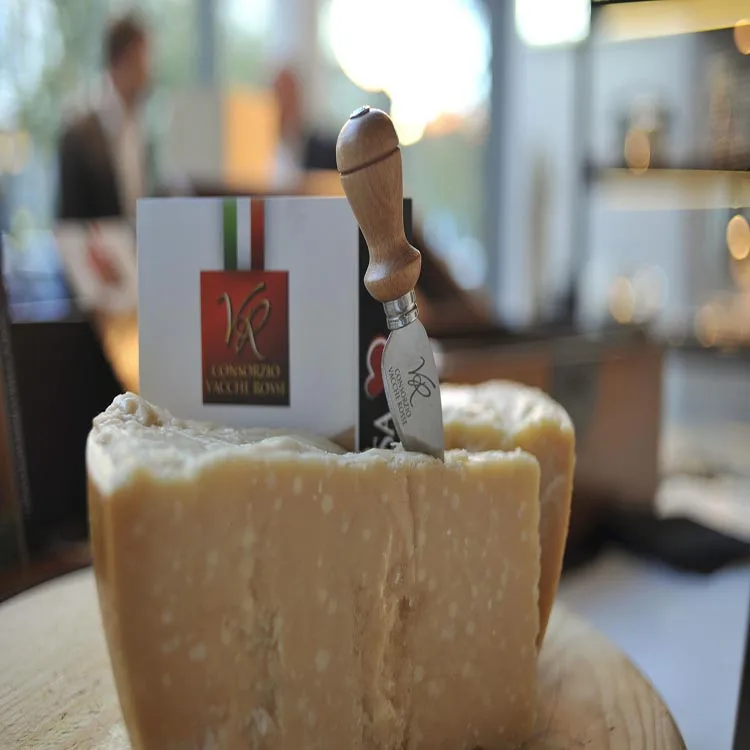  Итальянская пармезанская пицца Mozzarella аналоговый кирпич-сыр по низкой цене от