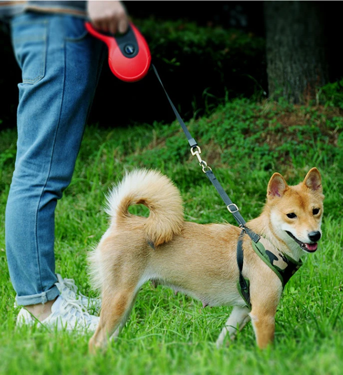 Pet lead leashes automatic telescopic pet traction rope