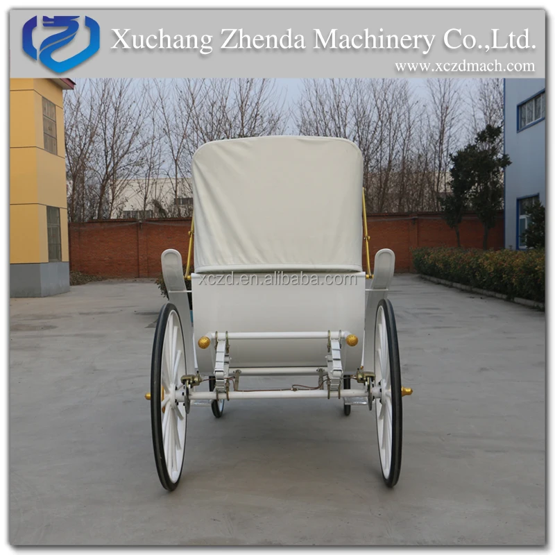 Tourist sightseeing horse carriage Victorian horse carriages