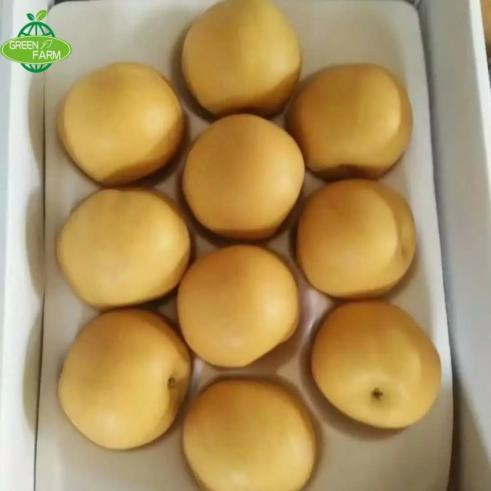 High quality pear in bulk of 300-500g