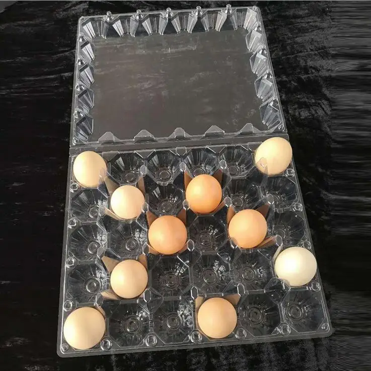 Hot Sale Cheap Clear Plastic Egg Tray For 2,6,8,10,12,15,18,20,24,30,40 Eggs