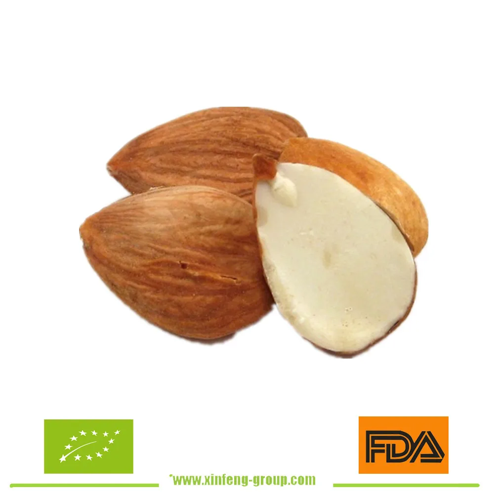 apricot kernel apicot seeds for sale bitter apricot seeds for sale good health