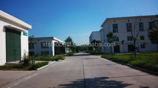 Textile Enzyme Alkaline Protease Industry Enzyme