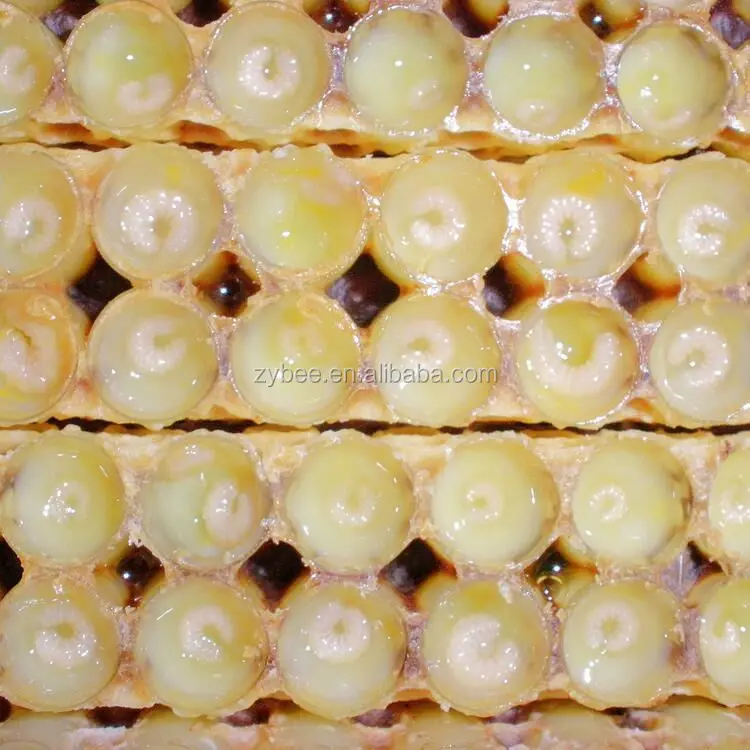 100% пчелиное органическое Королевское Желе, сертифицировано GMP и ISO, для продажи 10-hda 1.8%