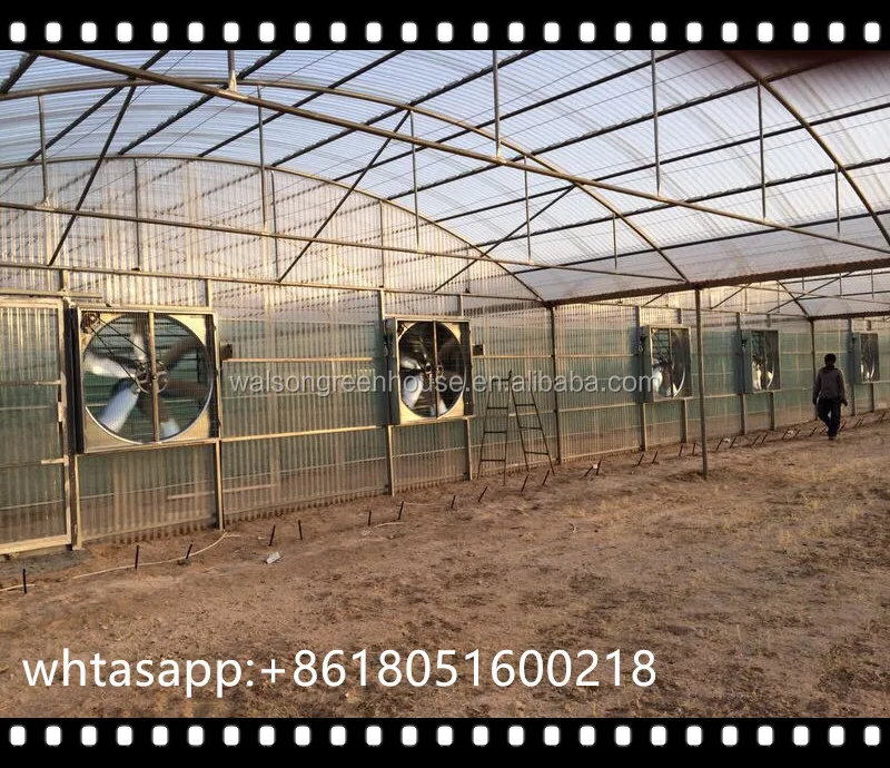 Pe Film Glass Poly Tunnel Reinforced Plastic Film Greenhouse for Poultry House