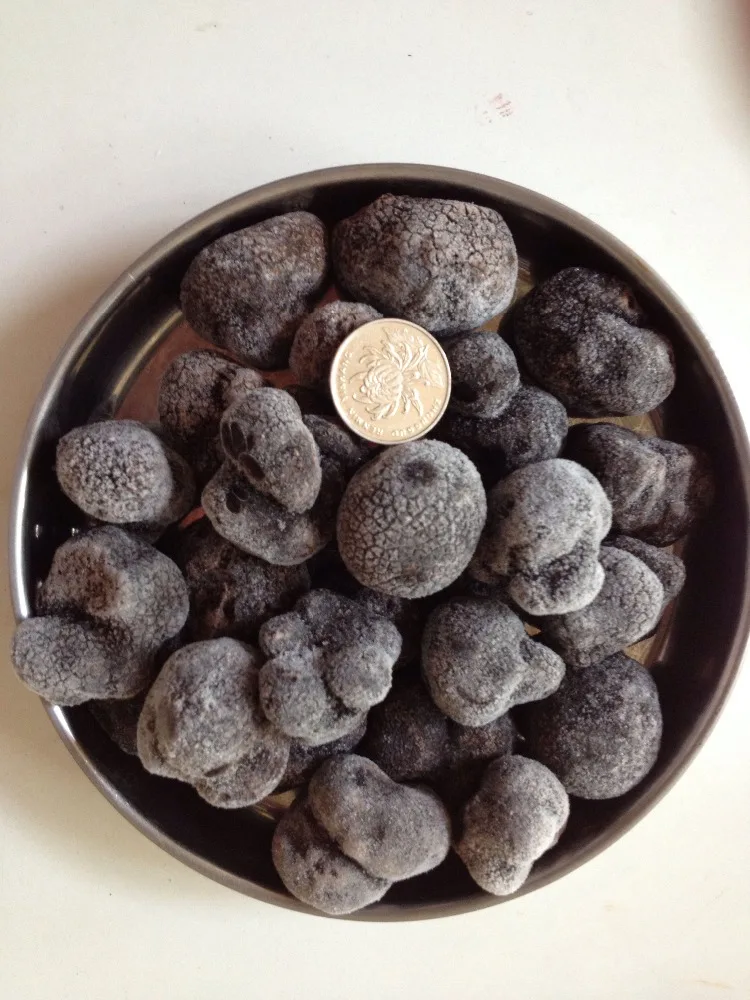 Detan Frozen Shanghai Black Truffle Mushroom