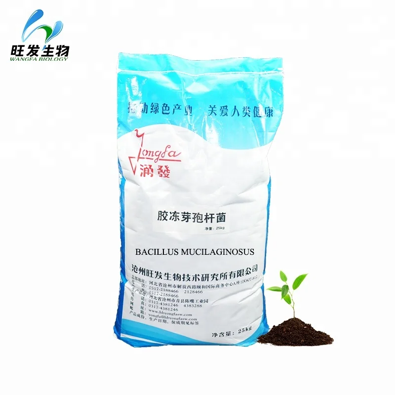 
Soil Conditioner bacillus megaterium, bacillus mucilaginosus 