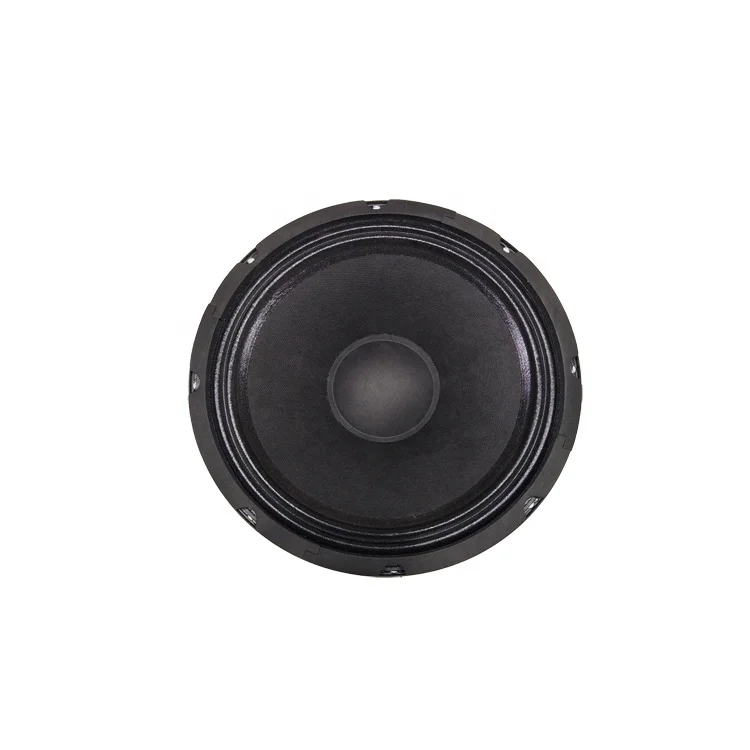 
China Speaker Manufacture 300w 10 inch Woofer for Trolley Speaker 