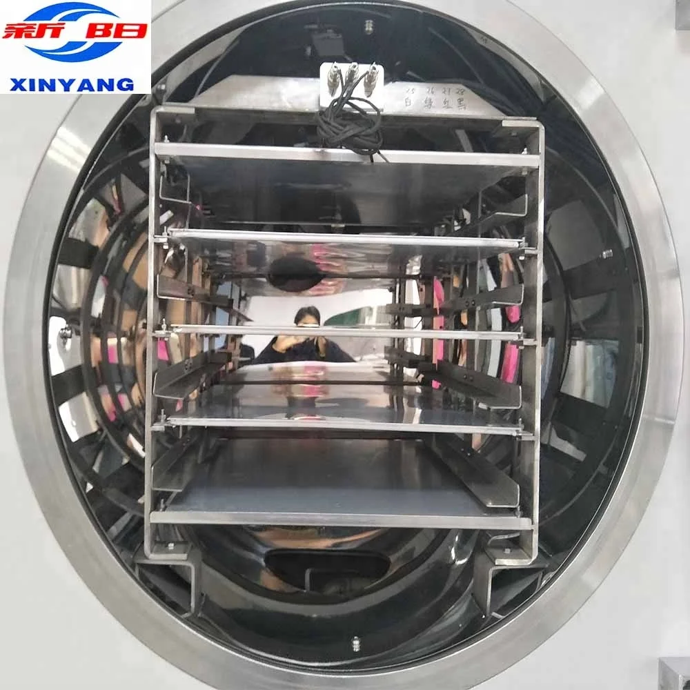 Pilot freeze dryer mini freeze drying machine for research and testing