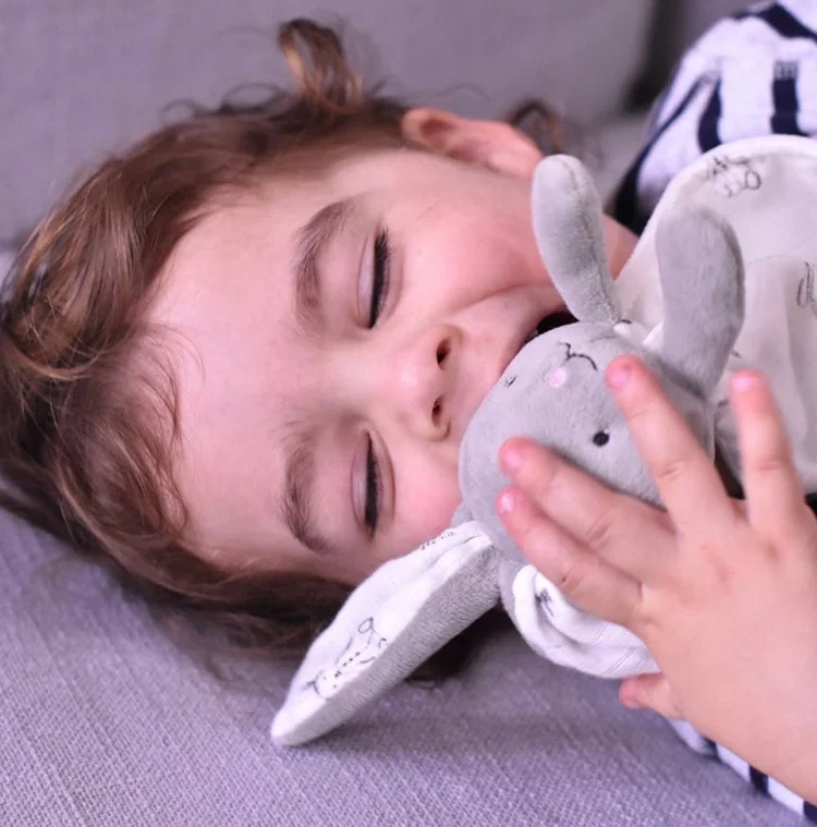 FREE SAMPLE Hot sales baby animal blanket unicorn plush toy