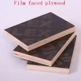 18mm marine plywood/black film faced plywood manufacturer