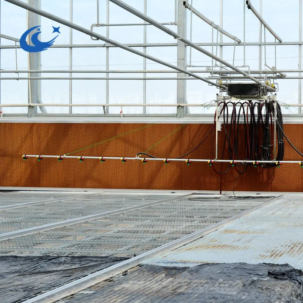 Agriculture greenhouse cooling pad/cooling system/pad fan cooling