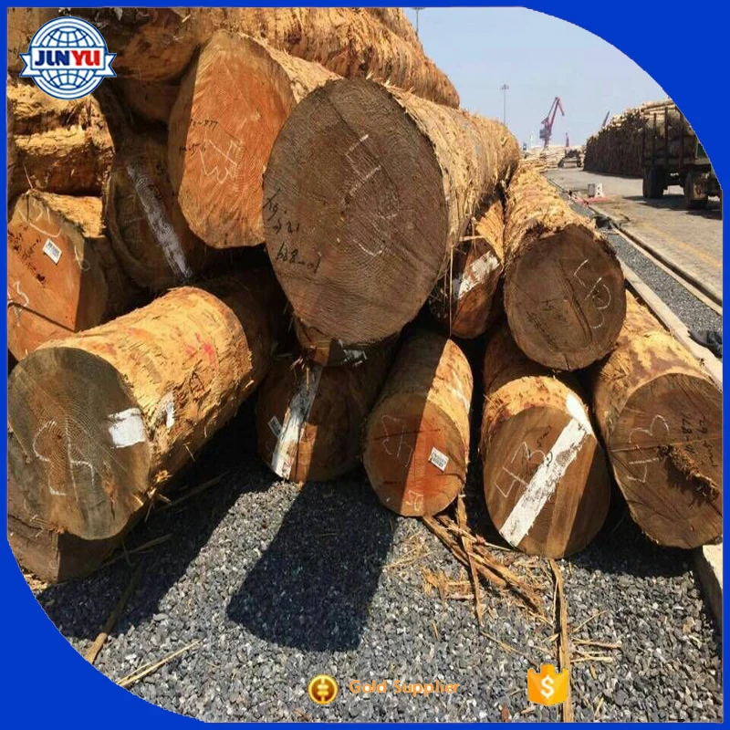 red pine lumber and logs red pine timber hot sale red pine logs export