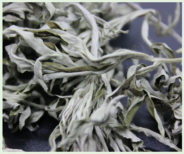 
Mugwort herb wormwood dried leaves moxa for feet soaking, foot treatment spa 