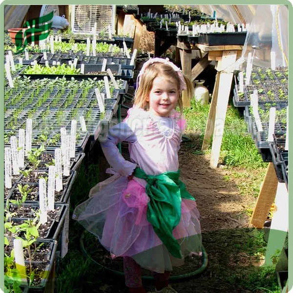 Polystyrene Seed Germination Tray
