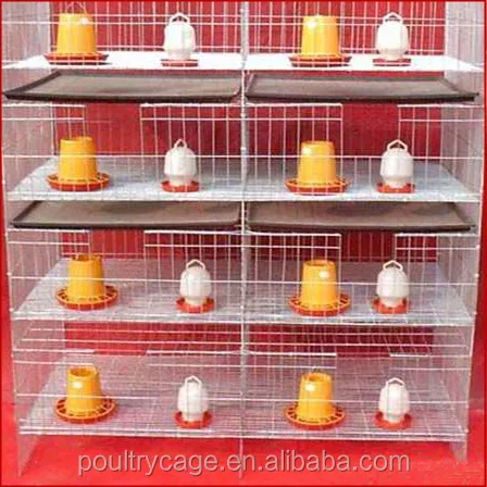 Direct Factory One Day Broiler Chicks Rearing Cages/Growing Broiler Chicken Cage For Sale(A Type & H Type Chick Cage