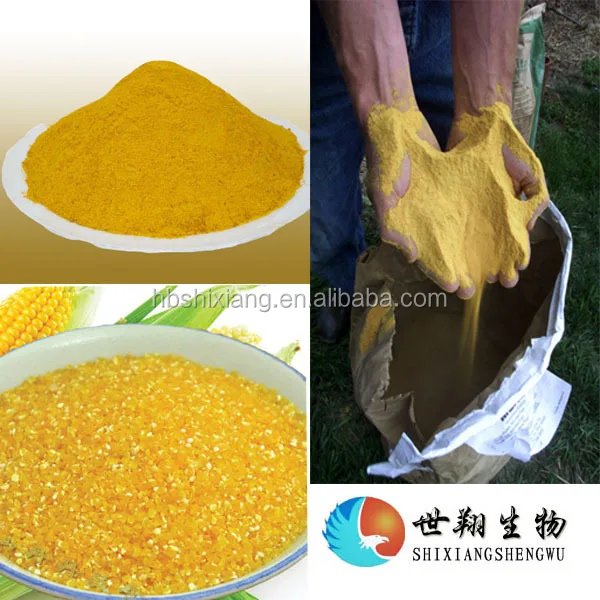 Corn gluten meal feed high protein 60% animal feed additive Granular corn gluten meal