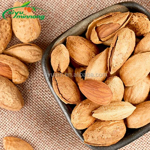 Chinese Premium Roasted and Salted Almond nuts with shell for sale