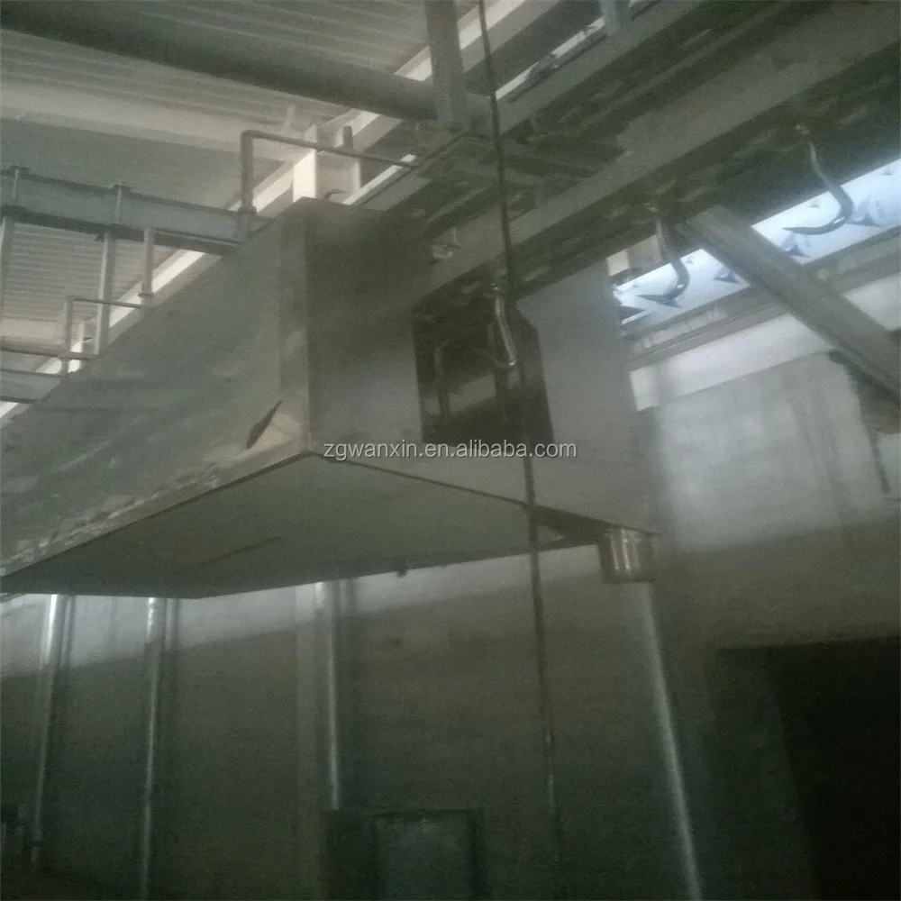 cattle cow beef meat processing plant