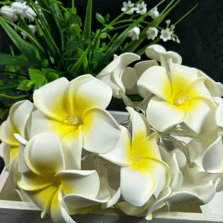 
LED simulation egg series decorated with colorful solar string light 