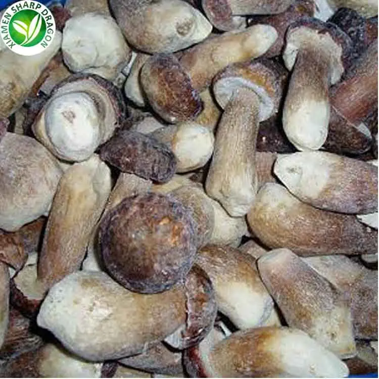 
IQF Frozen boletus edulis of price 