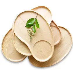 Set 2 Fancy Platter Small Serving Tray Kid Plate Cheese, Salad, Dessert Divided Breakfast Bamboo Serve Dish