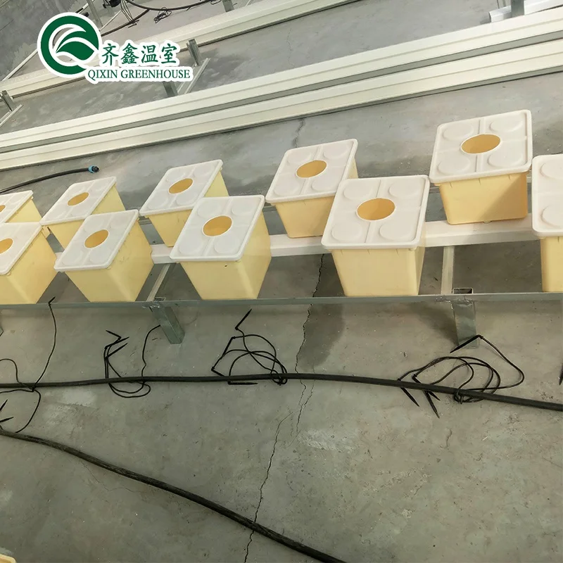 greenhouse agricultural equipment for sale