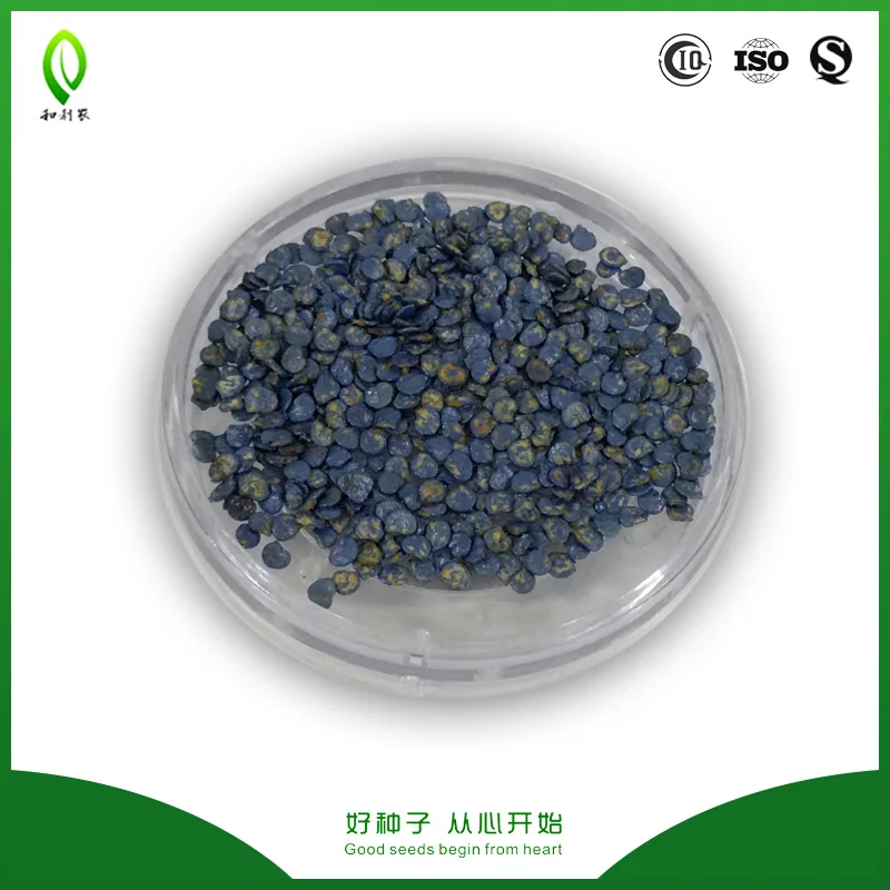 
Helinong Great commodity green pepper seeds 6008 