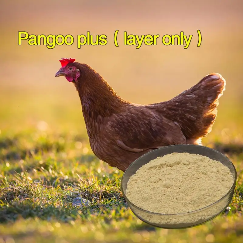 Feed additive egg layer products , chicken , duck , goose
