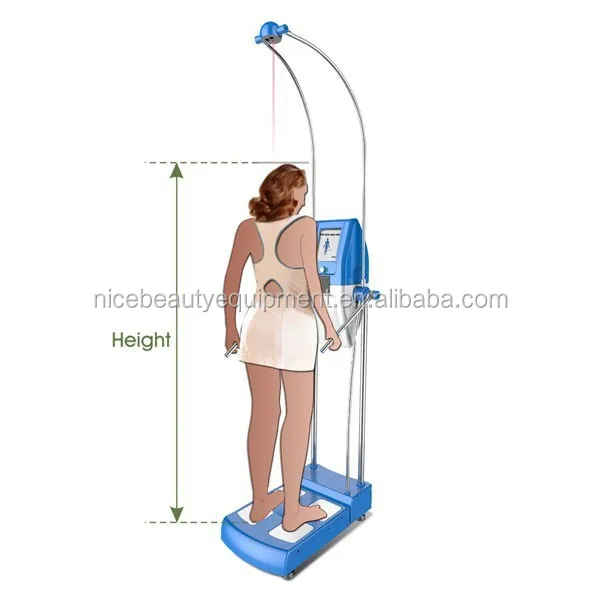 Full body composition fat quantum scan analizador de cuerpo bio bio