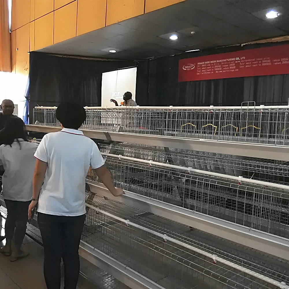 egg chicken cage system