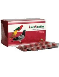 
For the control and treatment of infections from organisms such as Mycoplasma spp in Pigeon, Pets, Lincospectina 