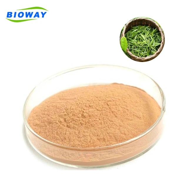 
Antioxidative Natural Caffeine 98% Green Tea Extract Powder 