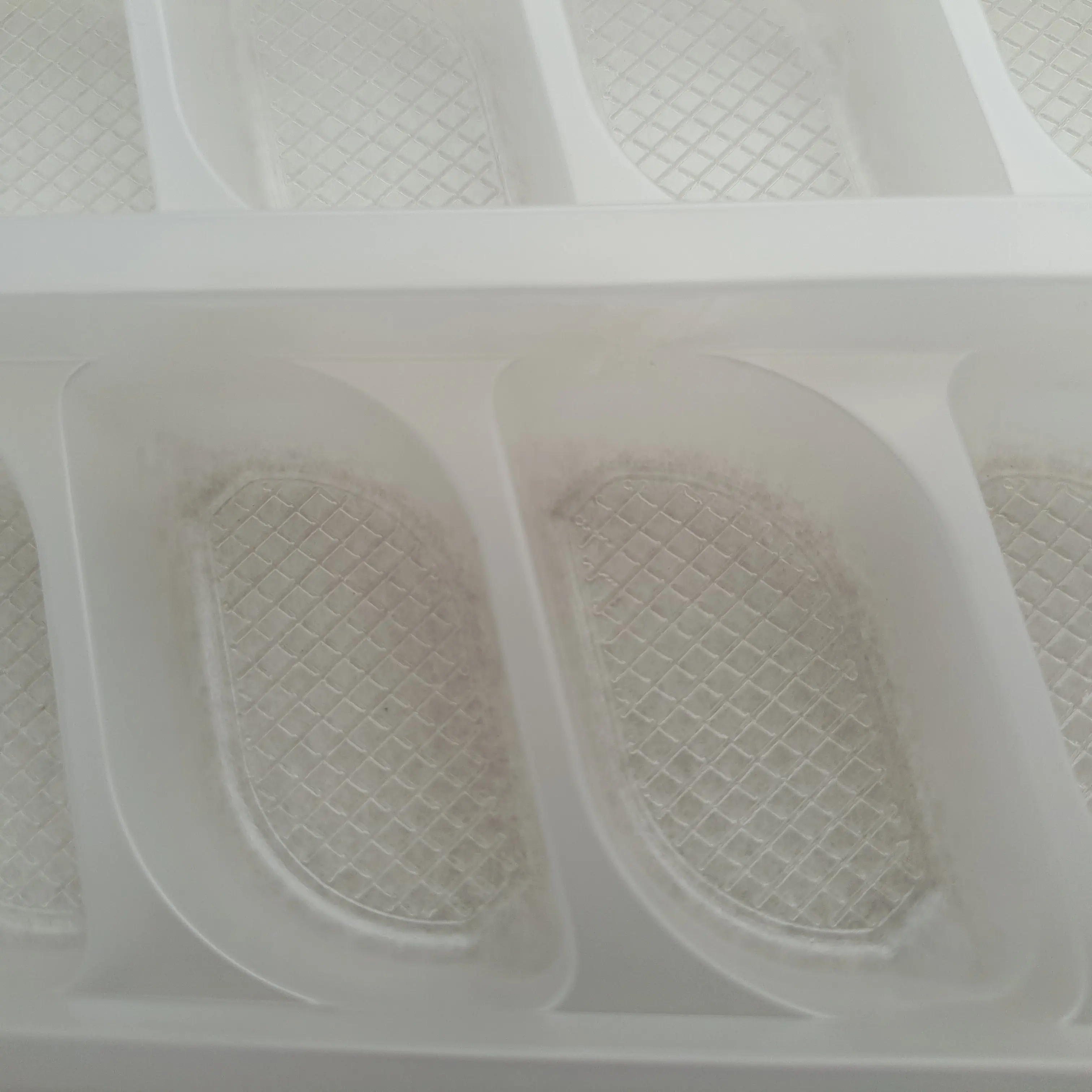 Blister Plastic Package Wonton Tray Container
