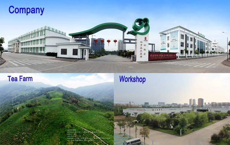 Top grade chunmee loose green tea