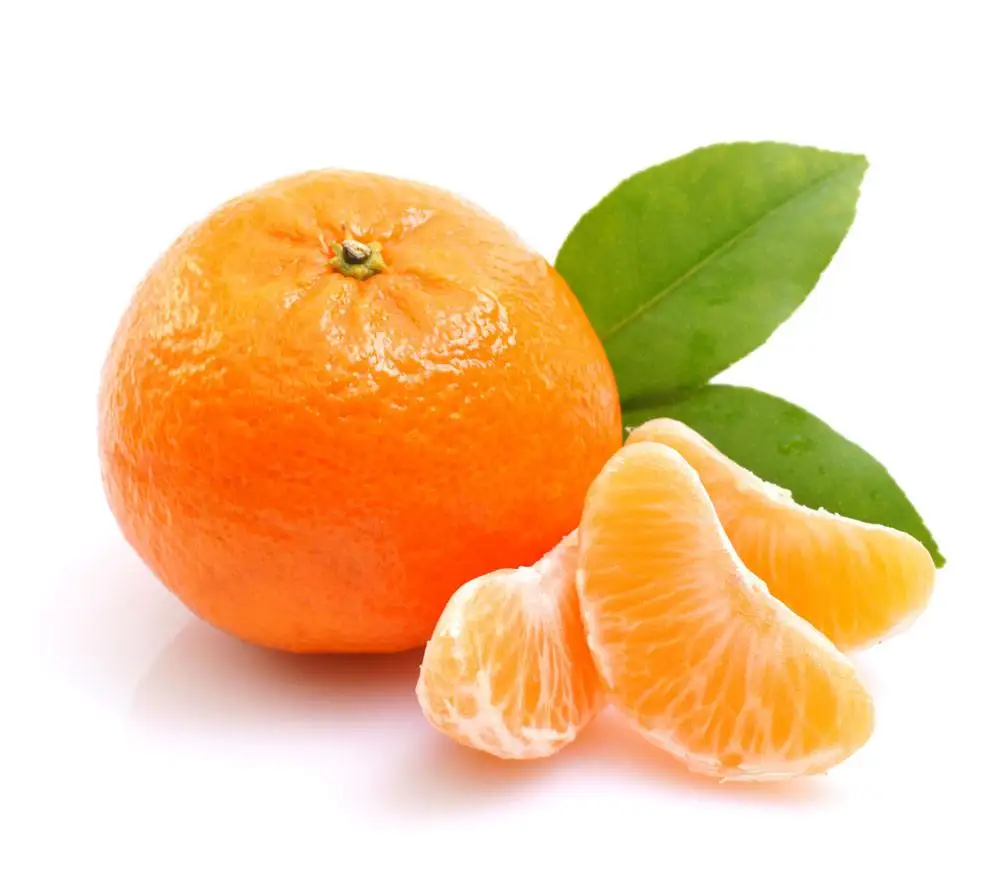 
Mandarin Orange Fruit Juice Powder 