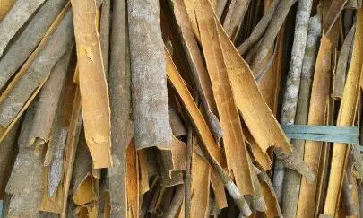 Factory Supply Wholesale Price Split Cassia Cinnamon from Vietnam Top product for Export