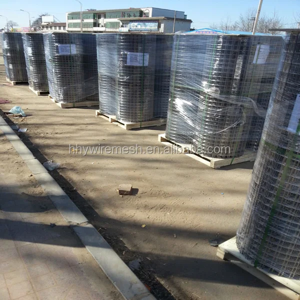 Alibaba China Anping factory direct supplier galvanized welded wire mesh in roll for bird cages