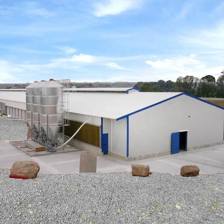 Sandwich panel material prefabricated fast building construction steel poultry house