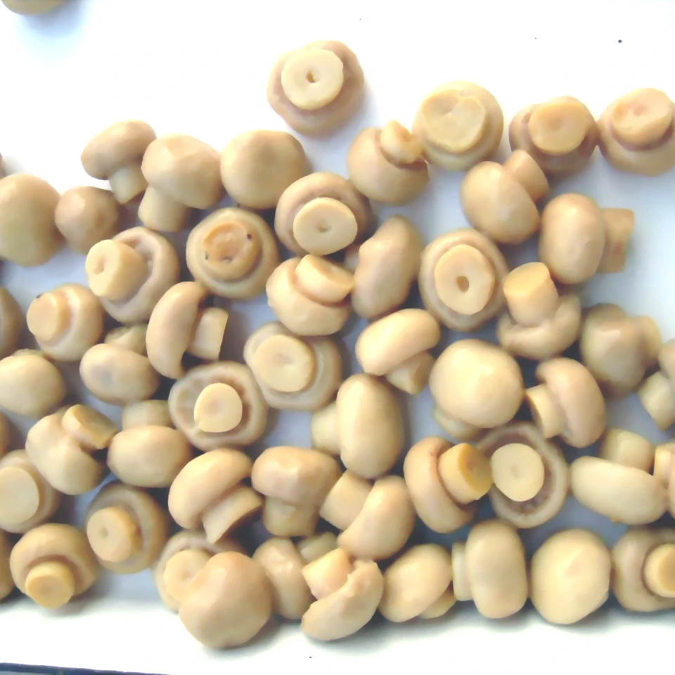 
Exported canned chinese food whole button mushroom brands 
