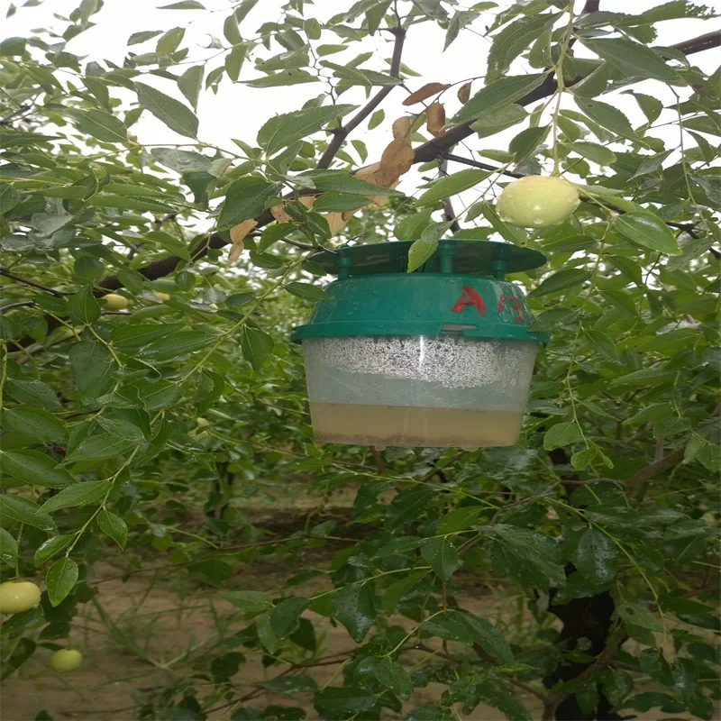 Пластиковая воронка-ловушка для сельскохозяйственного контроля насекомых