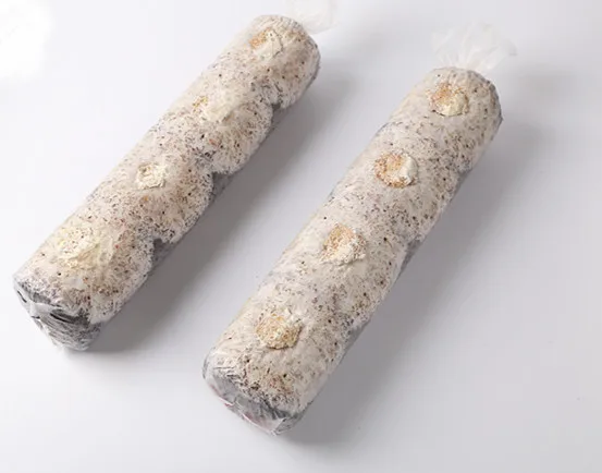 Органические пакеты для выращивания грибов Shiitake
