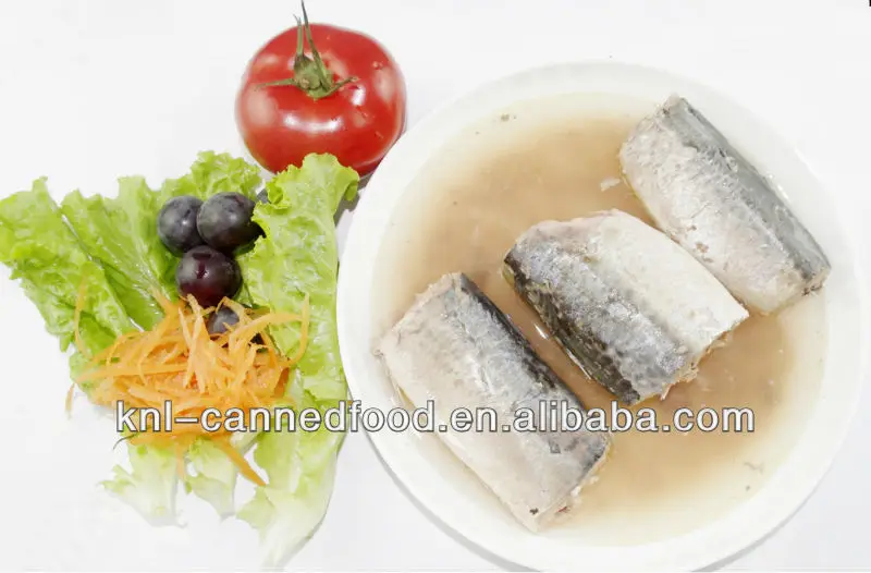 425gX24tins popular taste good quality canned mackerel in brine