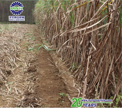 mini sugarcane combine harvester