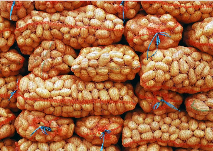 Cheap wholesale PP/PE Knitted plastic raschel leno mesh packing bags for Agriculture fruit vegetable form China