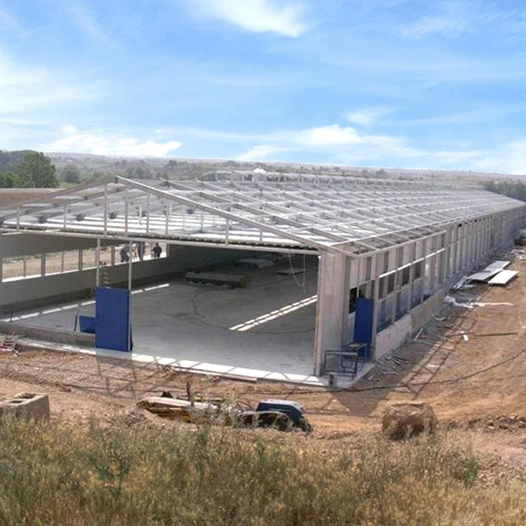 2024 Hot Selling prefab steel building automatic chicken house with egg cage