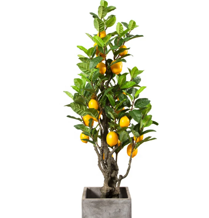 
artificial lemon tree fruit tree plant bonsai fresh fruit tree for decoration 