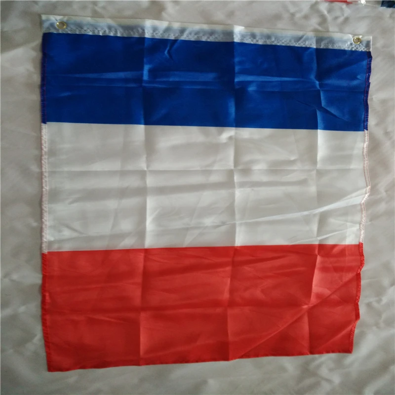 custom France car window flags car mirror cover flag