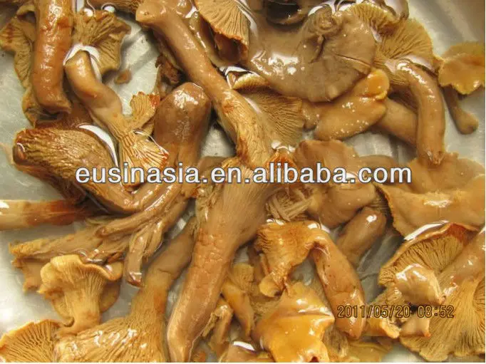 
Golden chanterelle mushroom in brine 