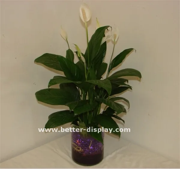 Wholesale transparent acrylic glass cylinder vases bulk
